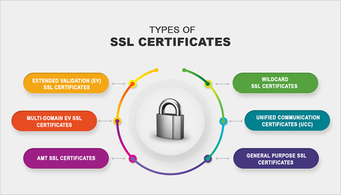 Essentials of SSL Certificates for Domains 1 essentials of ssl certificates for domains