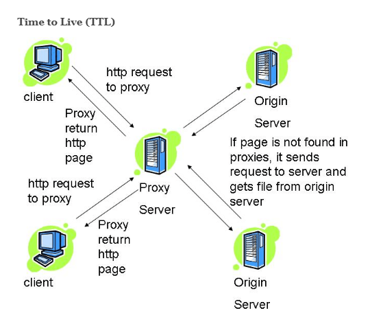 Solutions for DNS Propagation Problems 1 solutions for dns propagation problems